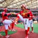 Diablos Rojos