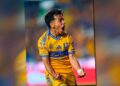 Tigres