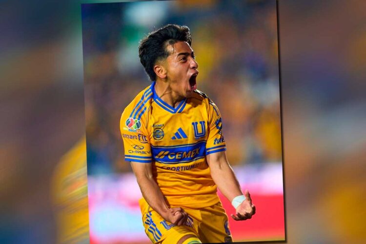 Tigres