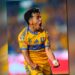 Tigres