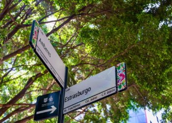 Zona Rosa estrena 7 obras: iluminación, accesibilidad y baños tecnológicos