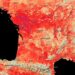 Más de 40 grados centígrados sufren habitantes y visitantes en París.