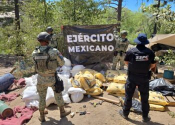 Breves Estados