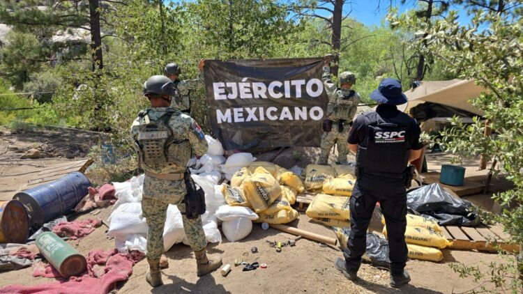 Breves Estados