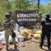 Breves Estados