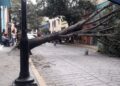 Una fuerte tormenta en Oaxaca deja nueve árboles caídos