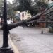 Una fuerte tormenta en Oaxaca deja nueve árboles caídos