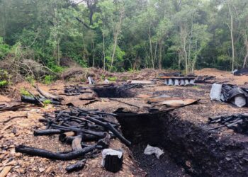 Desmantelan 13 hornos ilegales de carbón vegetal en sierra de Tamaulipas