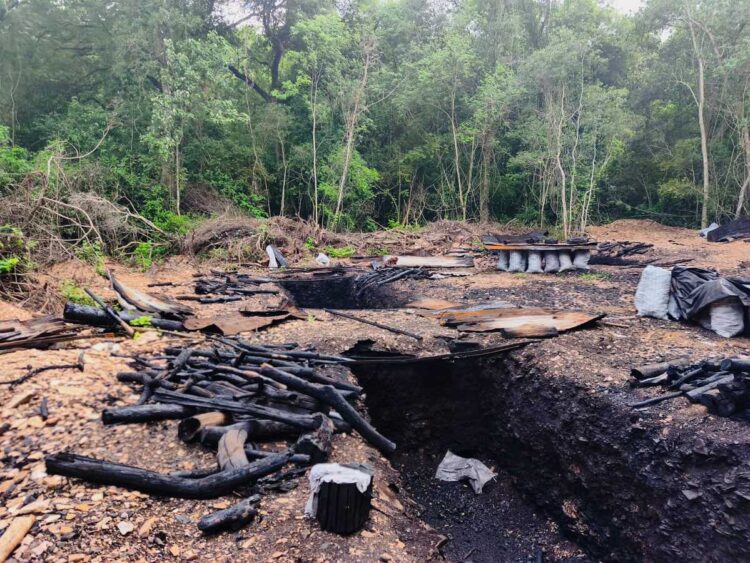 Desmantelan 13 hornos ilegales de carbón vegetal en sierra de Tamaulipas