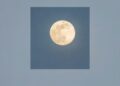Luna llena en el cielo nocturno durante una microluna, fenómeno astronómico que ocurre cuando el satélite se encuentra en el punto más alejado de la Tierra dentro de su órbita elíptica.