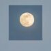 Luna llena en el cielo nocturno durante una microluna, fenómeno astronómico que ocurre cuando el satélite se encuentra en el punto más alejado de la Tierra dentro de su órbita elíptica.