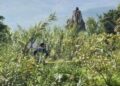 Hallazgo de mujer sin vida en el río Salado