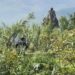 Hallazgo de mujer sin vida en el río Salado
