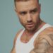¿Cuántos millones dejó Liam Payne a su hijo? Bear es el único beneficiario de su patrimonio