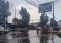 Breves Estados
