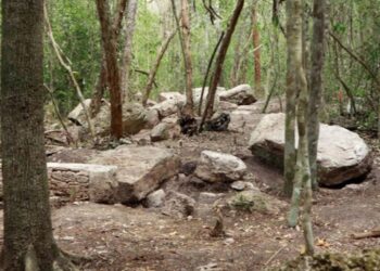 Descubren Minanbé, una ciudad maya intacta en Calakmul con templos, estelas jeroglíficas y más de mil años de historia. | AMEXI/FOTO: cultura.gob.mx