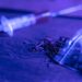 Oaxaca decomisan más de 2 mil dosis de drogas en aduanas
