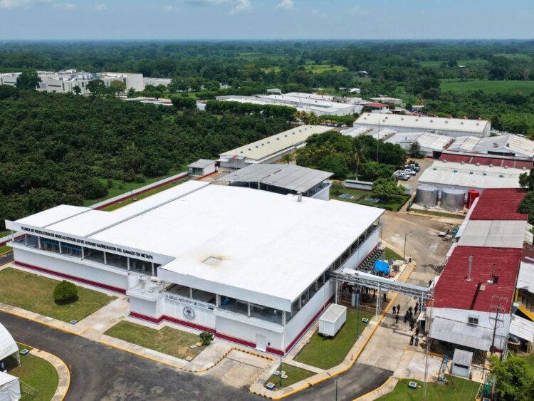 Inauguran planta de moscas estériles para el combate al gusano barrenador. AMEXI
