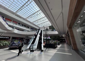 Confianza del consumidor en México cae en mayo a mínimo en 41 meses