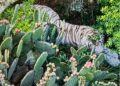 Ubican al tigre de Tepetlaoxtoc con ayuda de drones.