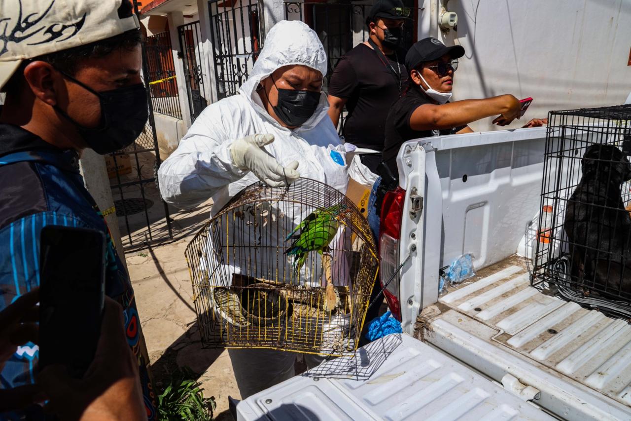 El sitio operaba con candados y hacinamiento extremo