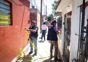 Rescatan a 14 perros en condiciones de maltrato extremo en Oaxaca