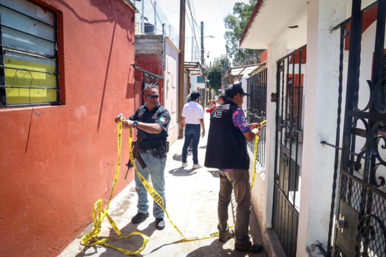 Rescatan a 14 perros en condiciones de maltrato extremo en Oaxaca