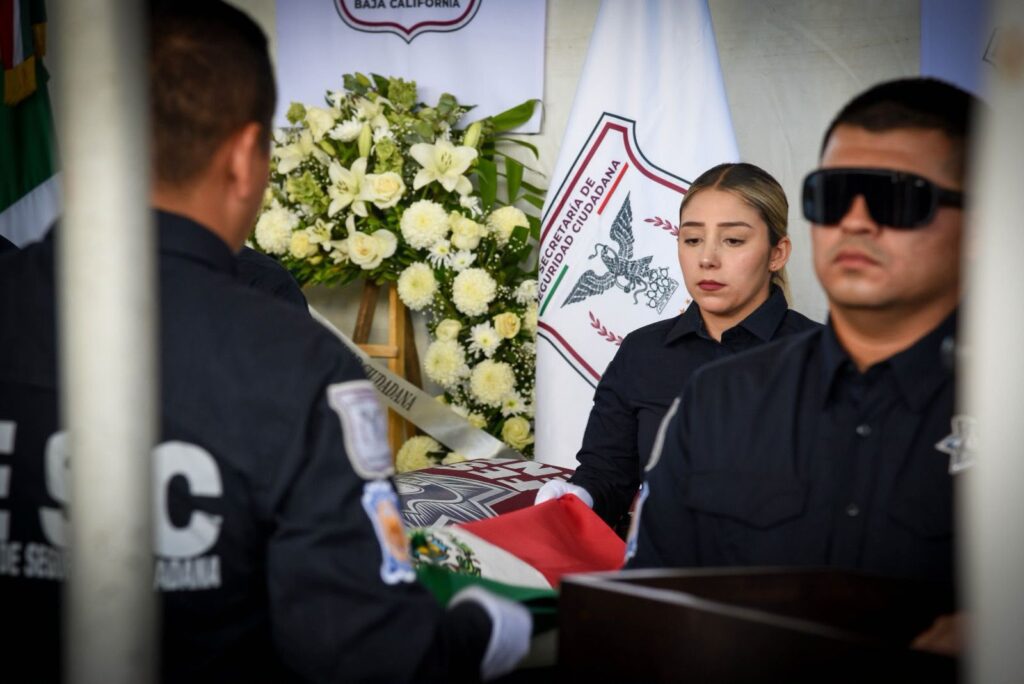 Breves de los Estados del 29 de junio