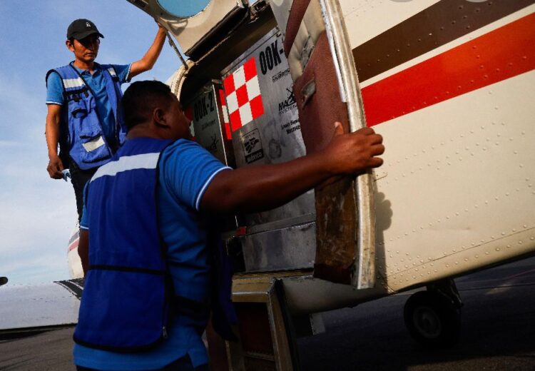 Oaxaca dispersará 300 mil moscas estériles por vuelo contra gusano barrenador