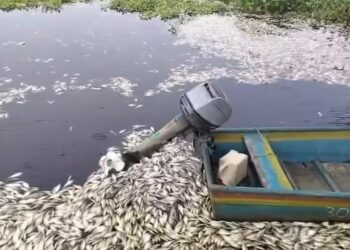 La gobernadora de Veracruz, Rocío Nahle García informa que la alcoholera Nopaltepec fue intervenida por autoridades ambientales.