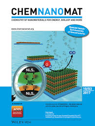 La prestigiosa revista científica internacional ChemNanoMat (editorial Wiley) publicó los resultados.