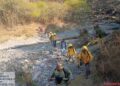 En el estado de Oaxaca se cierra la temporada de incendios forestales con 200 siniestros que devastaron unas 28 mil hectáreas de bosques