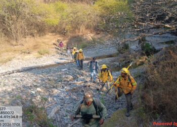 En el estado de Oaxaca se cierra la temporada de incendios forestales con 200 siniestros que devastaron unas 28 mil hectáreas de bosques
