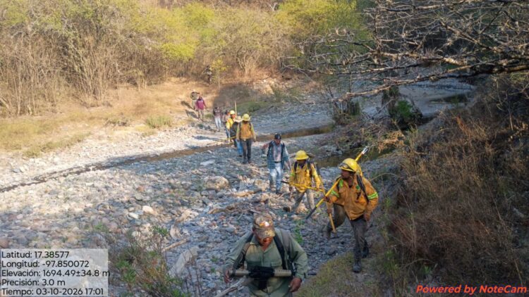 En el estado de Oaxaca se cierra la temporada de incendios forestales con 200 siniestros que devastaron unas 28 mil hectáreas de bosques
