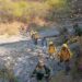 En el estado de Oaxaca se cierra la temporada de incendios forestales con 200 siniestros que devastaron unas 28 mil hectáreas de bosques