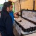 Autoridades del Edomex emitieron un aviso preventivo para la población ante el refuerzo de los trabajos de localización y captura del tigre.