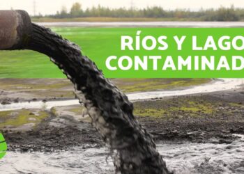 Investigadores de la UACh alertan sobre la grave situación de ríos y barrancas que se han convertido en basureros y desagües de aguas negras.