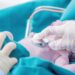 ¿Hasta 20 mil bebés con cardiopatías congénitas cada año?