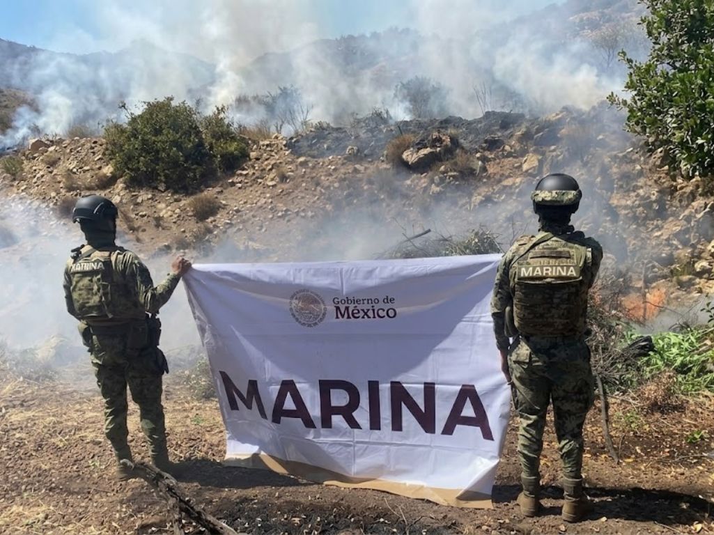 Breves de los Estados 25 de julio