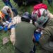 Autoridades de Protección Civil del Estado de México y especialistas en fauna silvestre lograron capturar con vida al tigre de bengala que se encontraba suelto en Tepetlaoxtoc.
