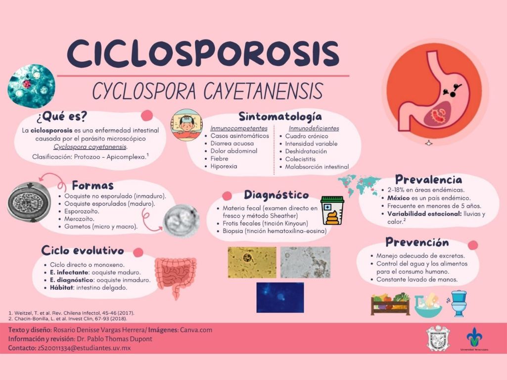 Ciclosporosis en lechuga