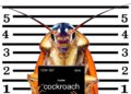 Las cucarachas resisten, pero no sobreviven a la radiación