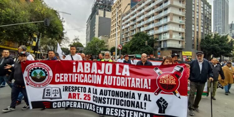 cooperativas