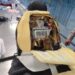 Detectan cocaína en silla de ruedas en el Aeropuerto de Cancún