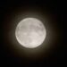 Luna llena brillante sobre el cielo nocturno durante la fase conocida como Luna del Ciervo, uno de los fenómenos astronómicos más esperados de julio de 2026.