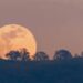La Luna llena brilla sobre el cielo nocturno durante el plenilunio del 29 de julio de 2026, una fecha asociada con rituales de prosperidad, gratitud y crecimiento personal.