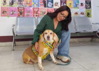 El programa Adopta, no compres en Nezahualcóyotl