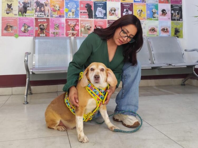 El programa Adopta, no compres en Nezahualcóyotl