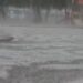 Granizada en Coacalco y Tultitlán. AMEXI Foto Captura de video