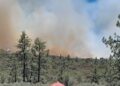 Incendio forestal consume 40 hectáreas de bosque en la Sierra de Juárez